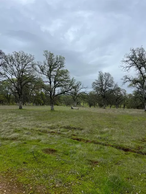 0 Dunstone Dr, Bangor, CA 95914 photo 1
