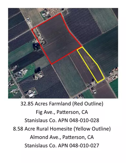 1350 Fig Ave, Patterson, CA 95363 photo 9