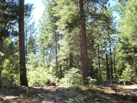 46 Ringtail Rd, Georgetown, CA 95634 photo 2