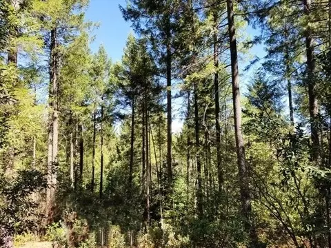 46 Ringtail Rd, Georgetown, CA 95634 photo 3