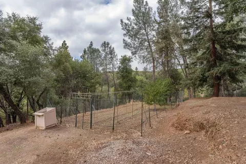 17915 Bosse Rd, Jackson, CA 95642 photo 54