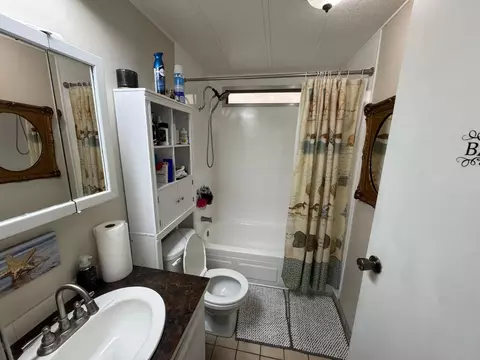 Bath - 4837 Faith Home Rd #60, Ceres, CA 95307 photo 2 of 2