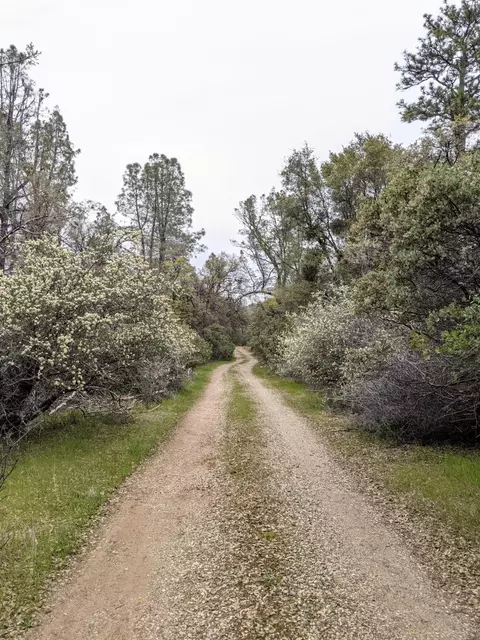 Undisclosed, Rackerby, CA 95972 photo 4