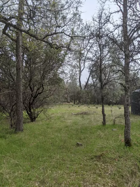 Undisclosed, Rackerby, CA 95972 photo 17