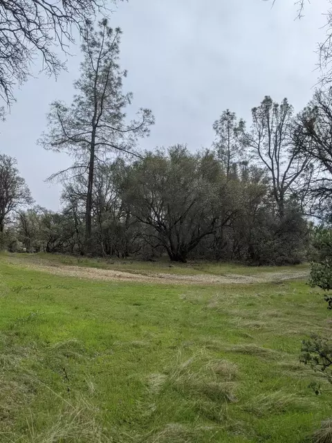 Undisclosed, Rackerby, CA 95972 photo 16