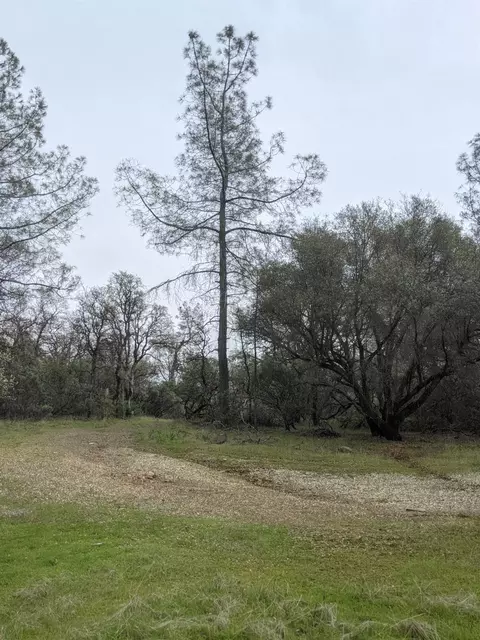 Undisclosed, Rackerby, CA 95972 photo 20