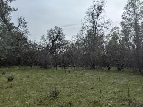 Undisclosed, Rackerby, CA 95972 photo 22