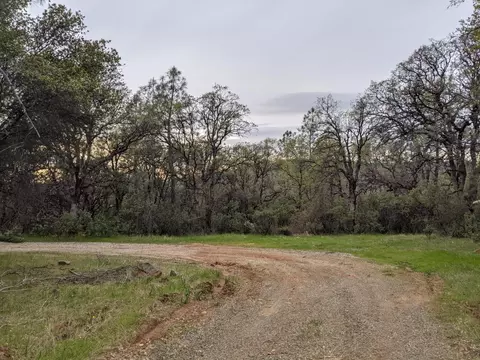Undisclosed, Rackerby, CA 95972 photo 3