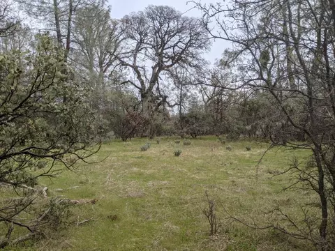 Undisclosed, Rackerby, CA 95972 photo 14