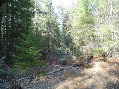 35 Balderson, Georgetown, CA 95634 photo 30