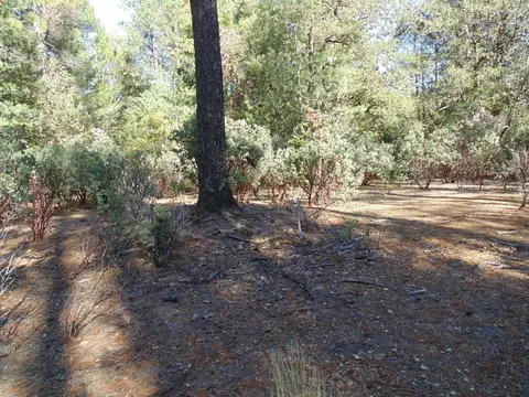 35 Balderson, Georgetown, CA 95634 photo 35