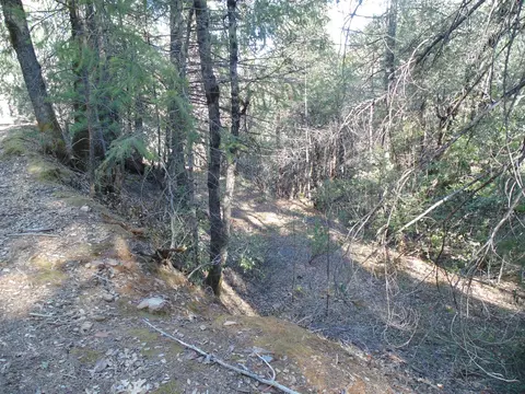 35 Balderson, Georgetown, CA 95634 photo 31