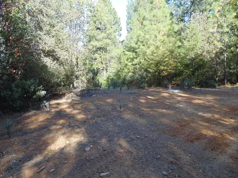 35 Balderson, Georgetown, CA 95634 photo 29