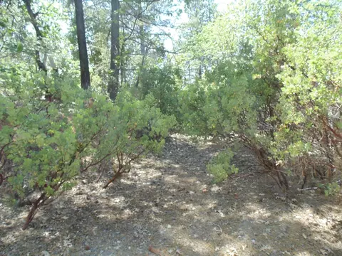 35 Balderson, Georgetown, CA 95634 photo 14