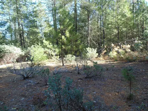 35 Balderson, Georgetown, CA 95634 photo 34