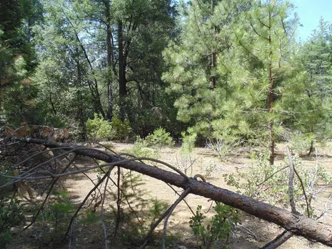 35 Balderson, Georgetown, CA 95634 photo 23
