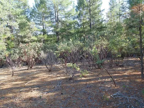 35 Balderson, Georgetown, CA 95634 photo 36