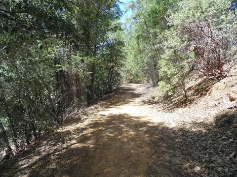 35 Balderson, Georgetown, CA 95634 photo 7
