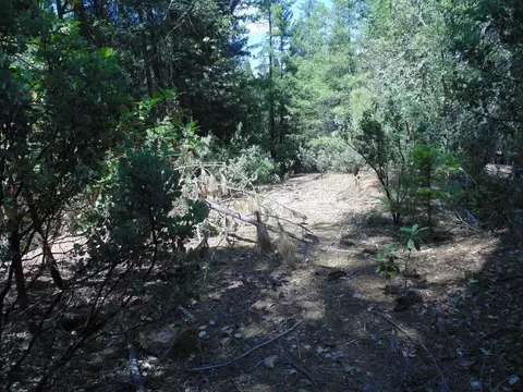 35 Balderson, Georgetown, CA 95634 photo 21