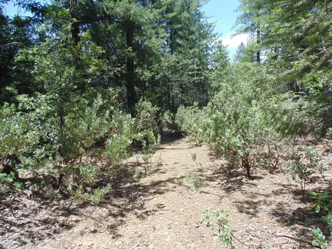35 Balderson, Georgetown, CA 95634 photo 2