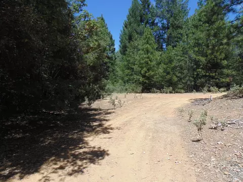 35 Balderson, Georgetown, CA 95634 photo 10