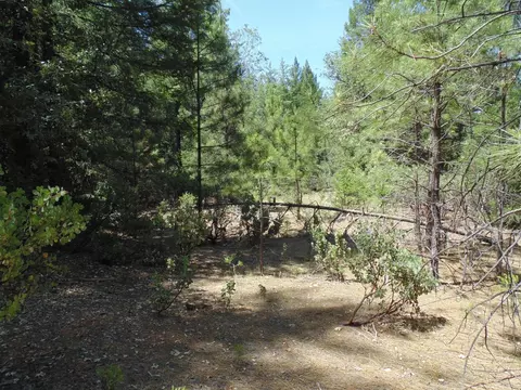 35 Balderson, Georgetown, CA 95634 photo 22