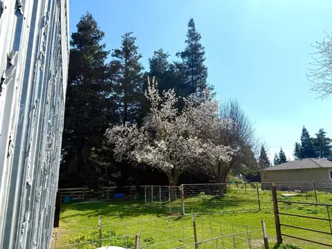 Exterior - 1307 S Johnson Rd, Turlock, CA 95380 photo 19 of 21