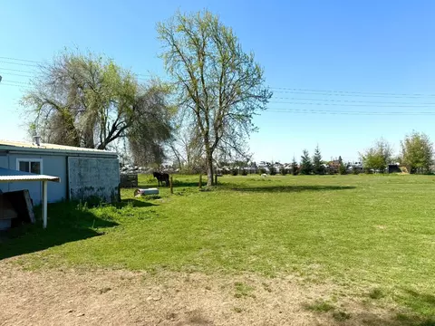 Exterior - 1307 S Johnson Rd, Turlock, CA 95380 photo 17 of 21