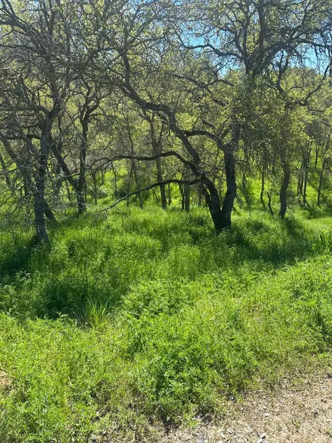 6296 Friedman Way, Valley Springs, CA 95252