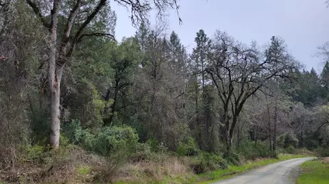 3291 Stage Trail Rd, Greenwood, CA 95635