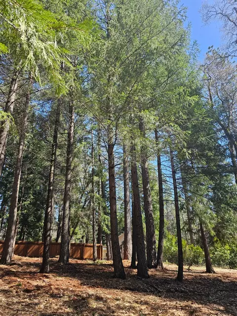 19344 Louis Rd, Grass Valley, CA 95945