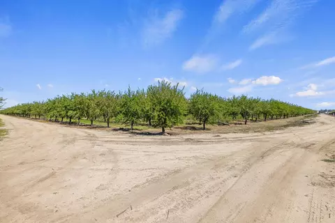 11820 S Union Rd, Manteca, CA 95336 photo 4