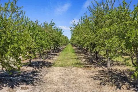11820 S Union Rd, Manteca, CA 95336 photo 3