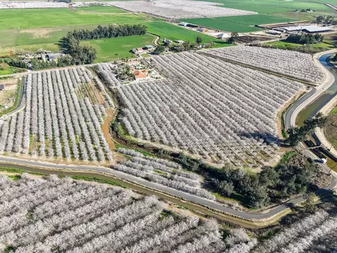 View/Area - 4549 Mcgee Ave, Modesto, CA 95357 photo 11 of 12