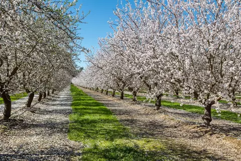 Other - 4549 Mcgee Ave, Modesto, CA 95357 photo 8 of 11