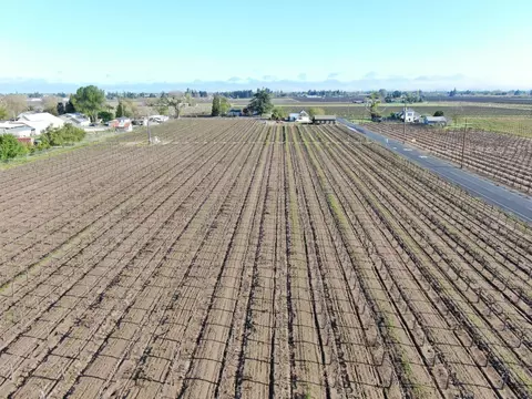 7106 E Kettleman Ln, Lodi, CA 95240 photo 3
