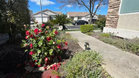 Exterior - 9919 Tarzo Way, Elk Grove, CA 95757 photo 9 of 23