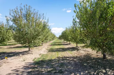 Other - 4972 Walnut Rd, Hughson, CA 95326 photo 11 of 16