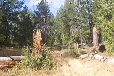 4801 Coyoteville, Fiddletown, CA 95629