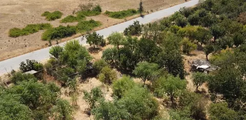 13430 Apple Rd, Wilton, CA 95693 photo 27
