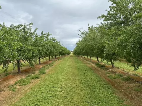 15309 E Keyes Rd, Denair, CA 95316 photo 39