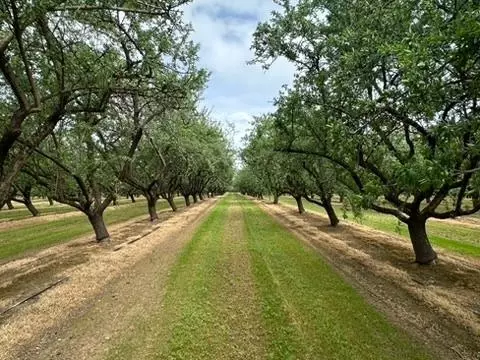 15309 E Keyes Rd, Denair, CA 95316 photo 34