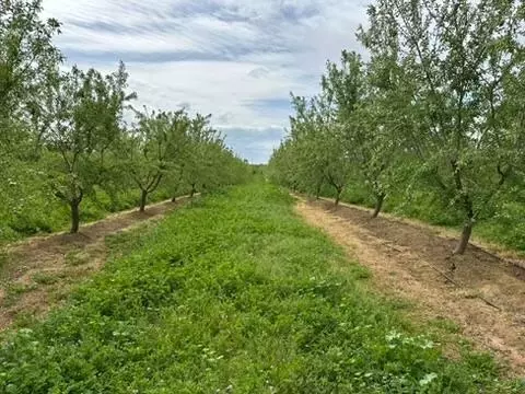 15309 E Keyes Rd, Denair, CA 95316 photo 42