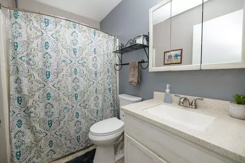 271 Blossom Dr, Ripon, CA 95366 photo 20