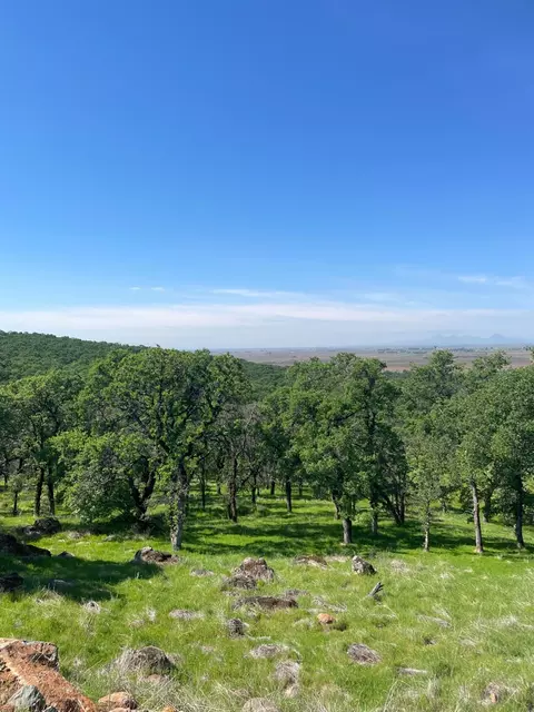 0 Oak Grove Ct, Browns Valley, CA 95918