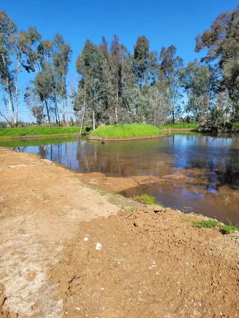9787 Alta Mesa Rd, Wilton, CA 95693 photo 4