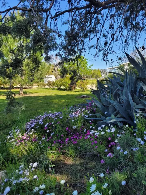 9787 Alta Mesa Rd, Wilton, CA 95693 photo 2