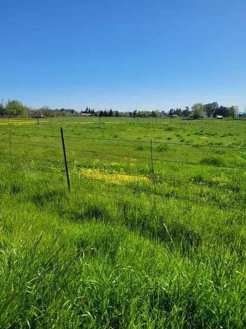 9787 Alta Mesa Rd, Wilton, CA 95693 photo 10