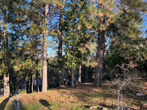 1238 Canyon Ridge Ct, Murphys, CA 95247 photo 4