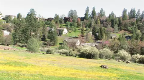 1238 Canyon Ridge Ct, Murphys, CA 95247 photo 14